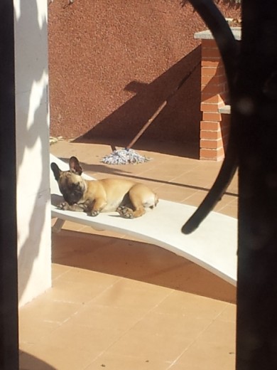 tomando el sol